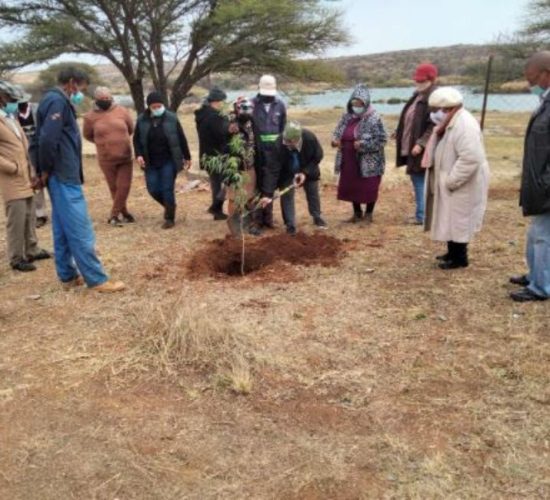 Untitled design (30)